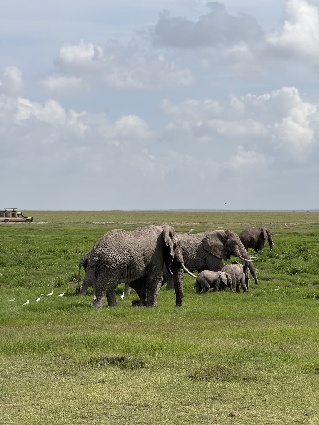 Amboseli